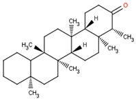 In Vivo Pharmacodynamics of Calophyllum soulattri as Antiobesity with ...