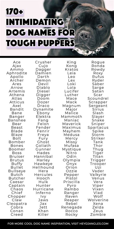 Indigenous Dog Names: Unique & Meaningful Choices