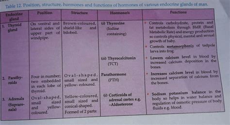 hormones table 10 class - Brainly.in