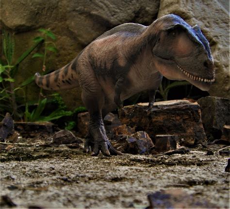 Image result for Mapusaurus VST Rex