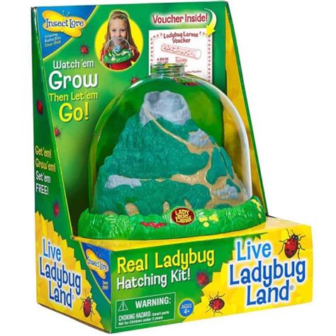 Ladybug Land Ladybug Habitat