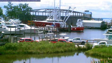 HarborCam, Oriental NC Harbor Web Cam | TownDock.net