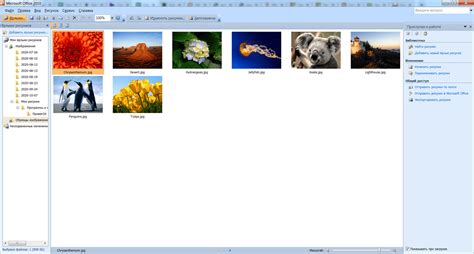 Microsoft Picture Manager - скачать Microsoft Office Picture Manager ...
