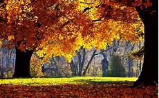 High Resolution Fall Desktop Backgrounds Hd by Fall Wallpapers Hd Pixelstalk Net High Resolution Fall Desktop Backgrounds Hd