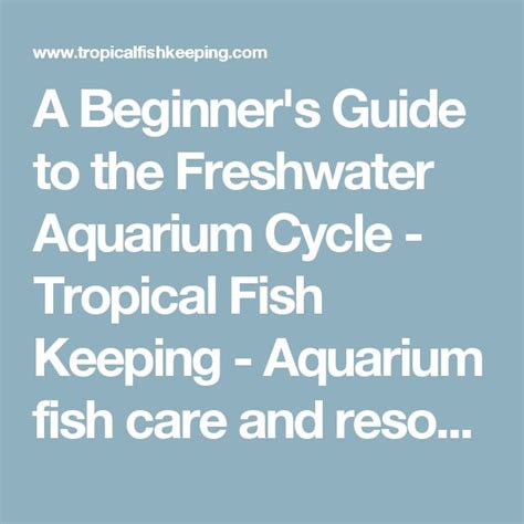 aquarium fish keeping