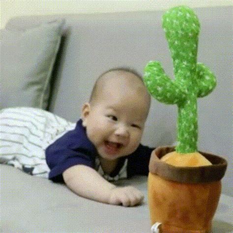 8047 Dancing Cactus Rechargeable Cactus Plush Toys |Recording, Lightin ...