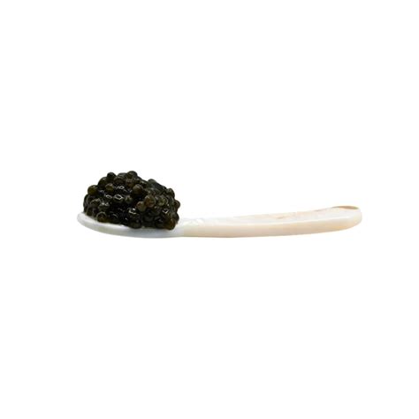 Truffle & Caviar Accessories - Crafted with Precision for Your Kitchen – Urbani Truffles - what is taste of caviar