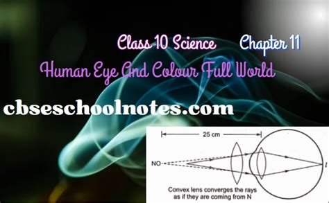 Class 10 Science Chapter 11 Topic Eyes 的图像结果
