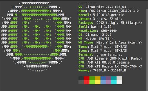 MC Using Wrong GPU 的图像结果