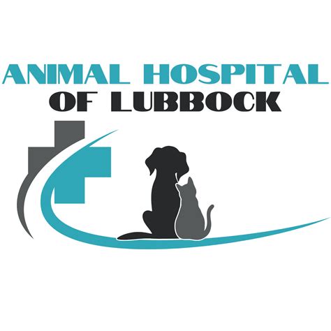 Top Vet Clinic in Lubbock | Expert Pet Care Services - Vet Clinics US