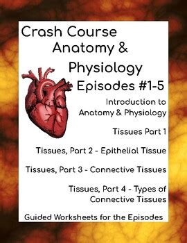 Image result for Crash Course Anatomy