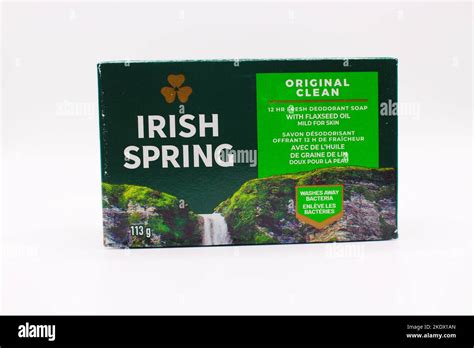 Image result for Irish Spring Soap Logo