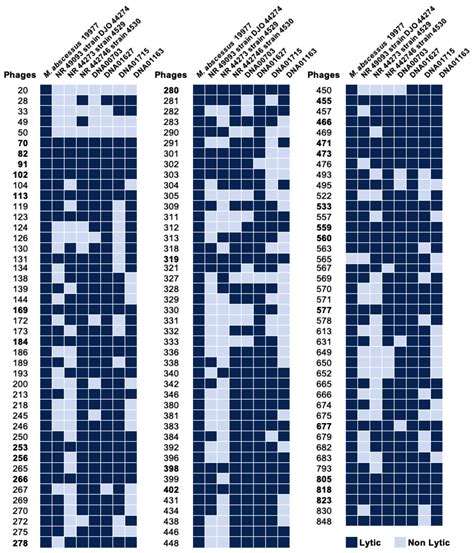 Understanding the Phage–Host Interaction Mechanism toward Improving the ...