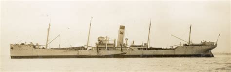 Chinook - Trailing suction hopper dredgers - Equipment | Dredging Database