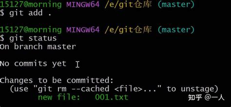 How to Add Image Git 的图像结果