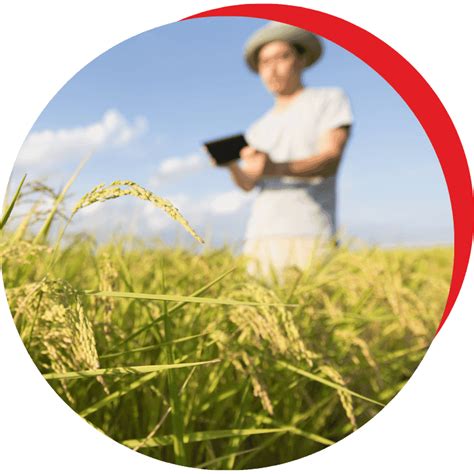 Post Graduate Program in Agribusiness Management at SCDL