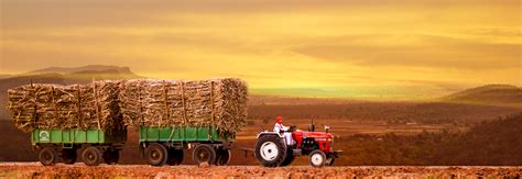 Eicher Tractor Program