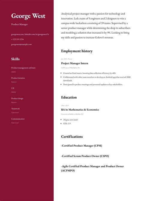 Business Resume Examples 的图像结果