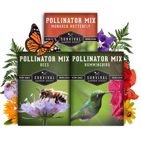 Top Butterfly-Friendly Plants for Pollinator Gardens: 5 Essential ...