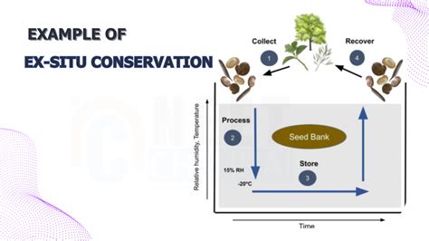 Examples of Ex-situ Conservation (NEET Biology) - Neet Chennai