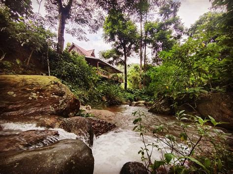 Tabakoshi Homestay Riverside Dwelling in offbeat Darjeeling