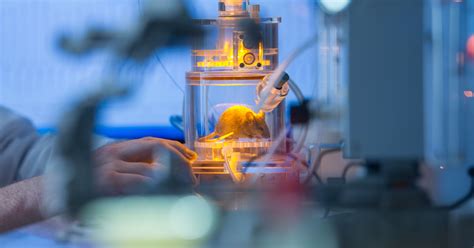 Applied Science Experiments 的图像结果