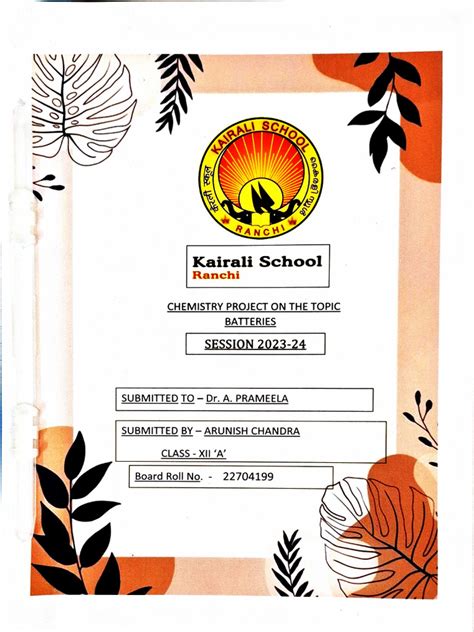 Creative Project File Class 12 的图像结果