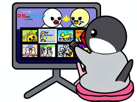 Image result for Selection Programming Python Example