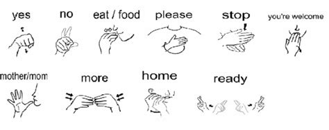 Image result for American Sign Language Basic Signs