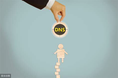 DNS 域名解析