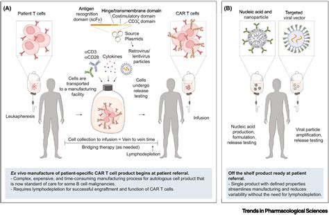 Direct in vivo CAR T cell engineering: Trends in Pharmacological Sciences