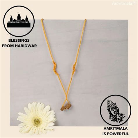 AMRITMALA PURE HERB (YELLOW) (FOR CERVICAL PAIN, MIGRAINE, NECK PAIN,