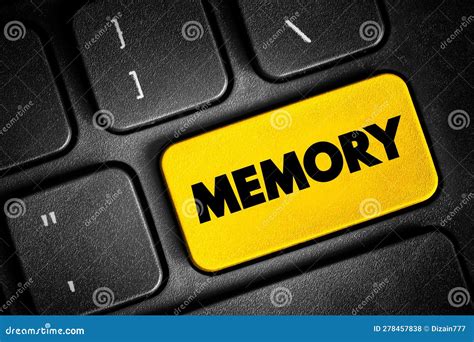 Memory - Processes that are Used To Acquire, Store, Retain, and Later Retrieve Information, Text ...