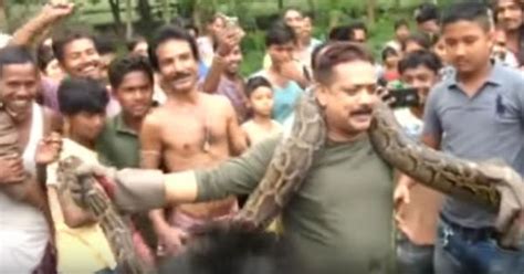 Video: A forest ranger was nearly strangled to death by a python as he ...