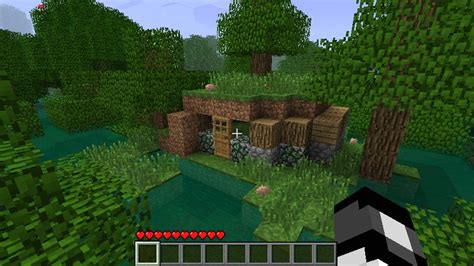 Image result for Lime Fish Swamp Biome Minecraft