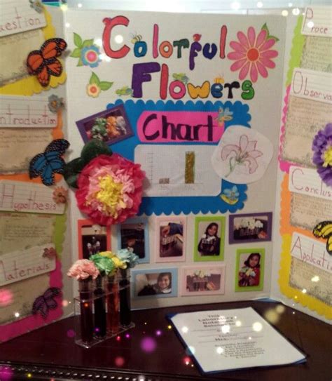 Image result for Food Coloring Flowers Science Project