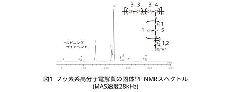 Image result for 2 Pin Power Entry Module
