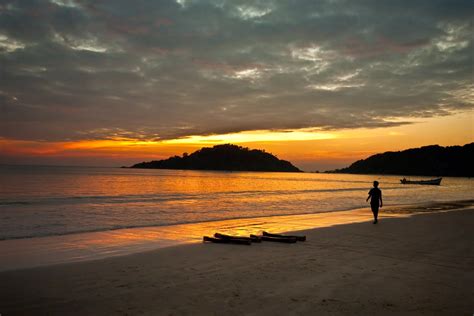 Image result for Goa Latest