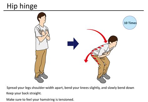 Sit-to-Stand Exercise | Physio Visuals: Illustrated Exercise ...