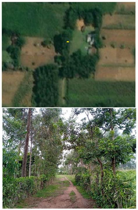 Mapping Rural Mobility in the Global South: Case Studies of ...