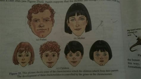 A mother has black hair, the father has blonde hair, and the child has ...