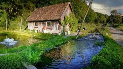 How to Start Fish Farming 的图像结果