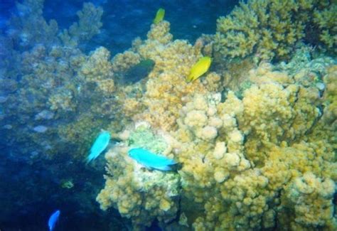 Aquanature (Noumea) - All You Need to Know BEFORE You Go