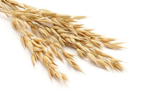 Image result for Colloidal Oatmeal Chemical Compound