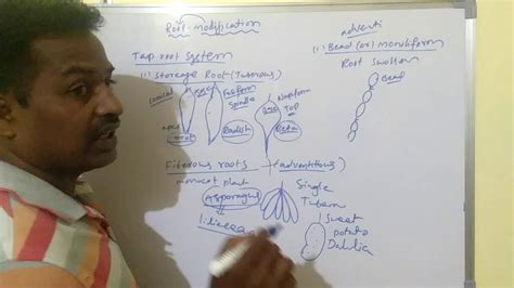 Image result for NEET Root Modification Questions