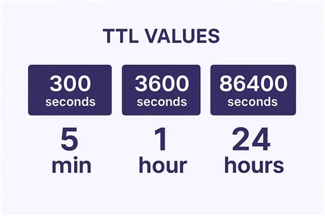 DNS Time to Live [TTL] – Best Practices for WordPress Site Moves