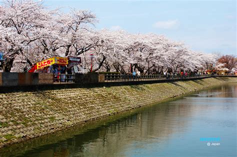 Image result for General Chart for Labelled Break Statement in Java