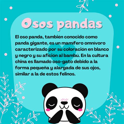 Panda In Spanish