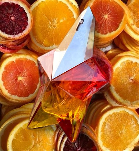 Alien Nova 的图像结果