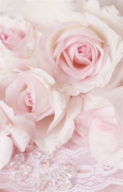 [400+] Pink Flowers Wallpapers | Wallpapers.com
